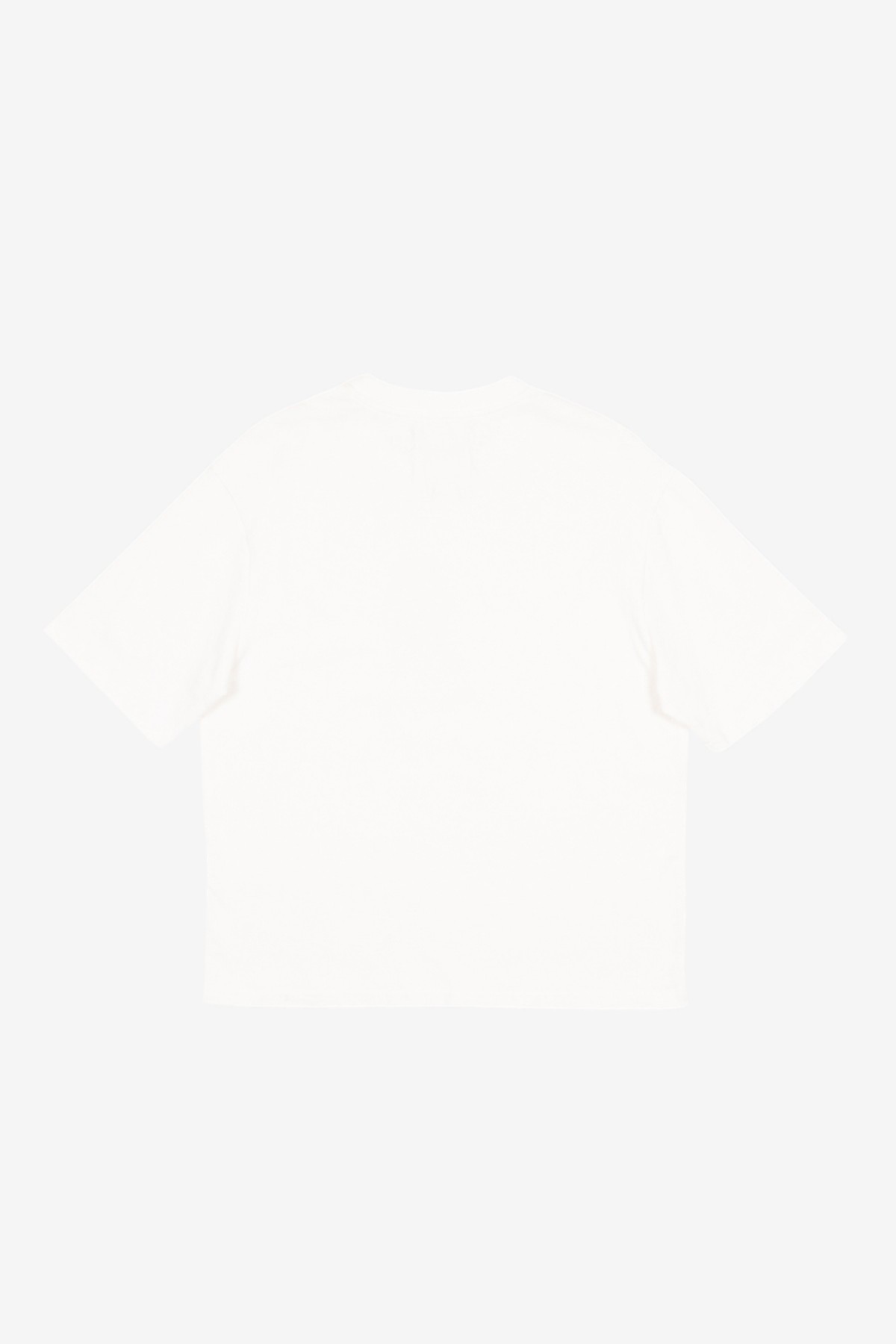 Bram's Fruit Beagle Aquarel T-Shirt in White