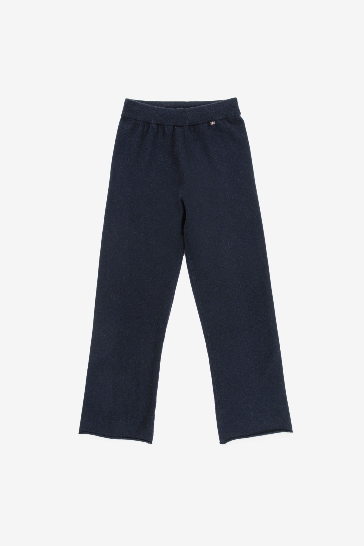 extreme cashmere N°104 Trousers in Navy