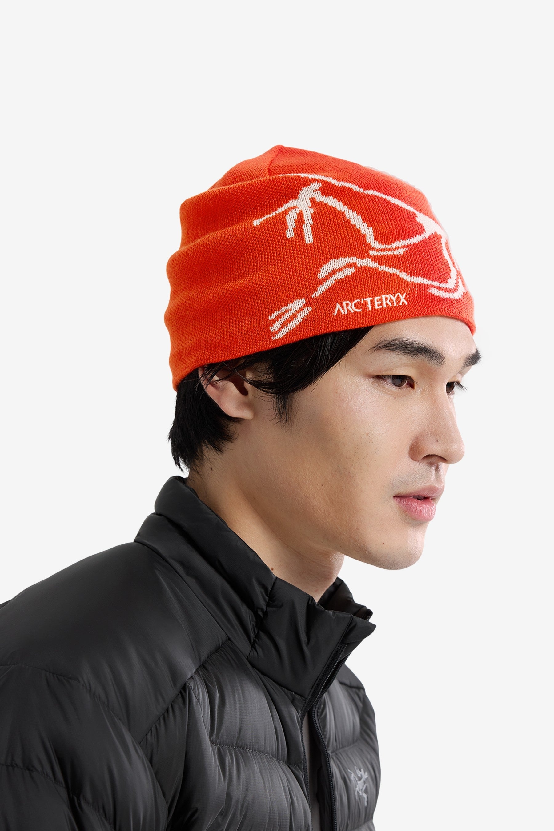 Bird Head Toque in Dynasty / Arc Silk - Arc'teryx | Afura Store