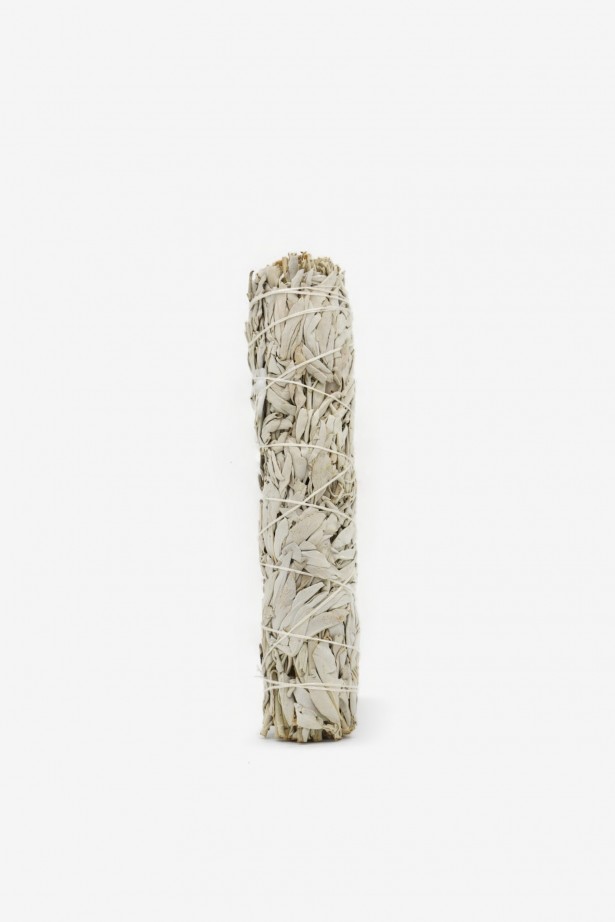 Wild White Sage Large - Size Large