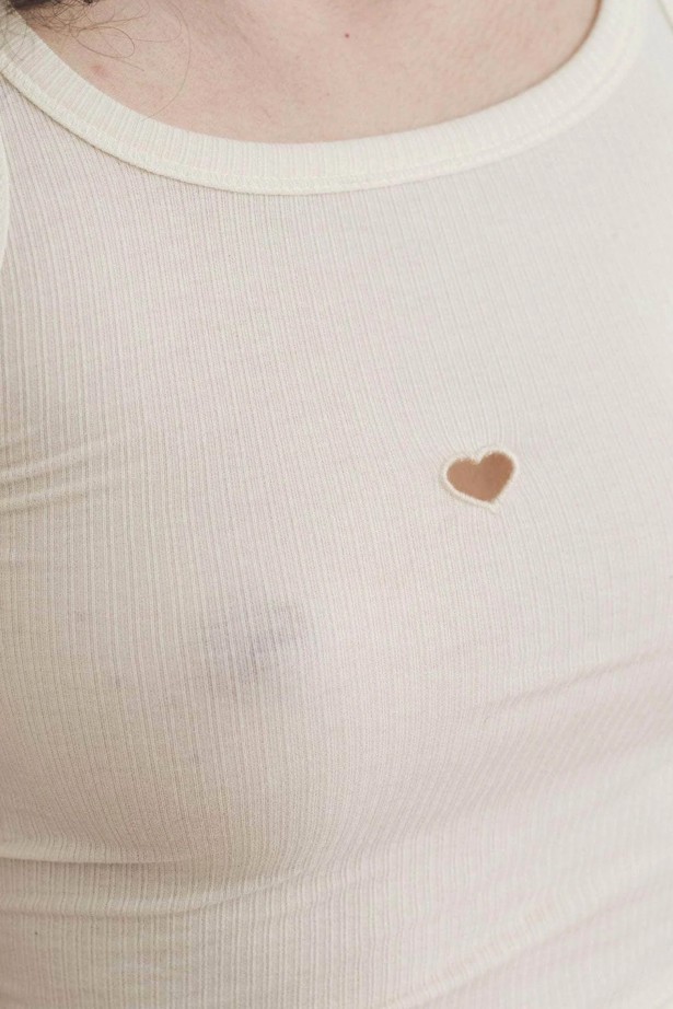 Heart Tank